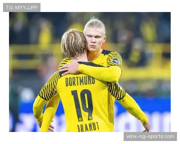 本泽马与哈兰德锋线转换效率差异及其驱动机制解析